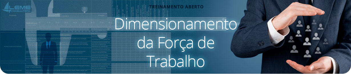 Gestão e Dimensionamento da Força de Trabalho